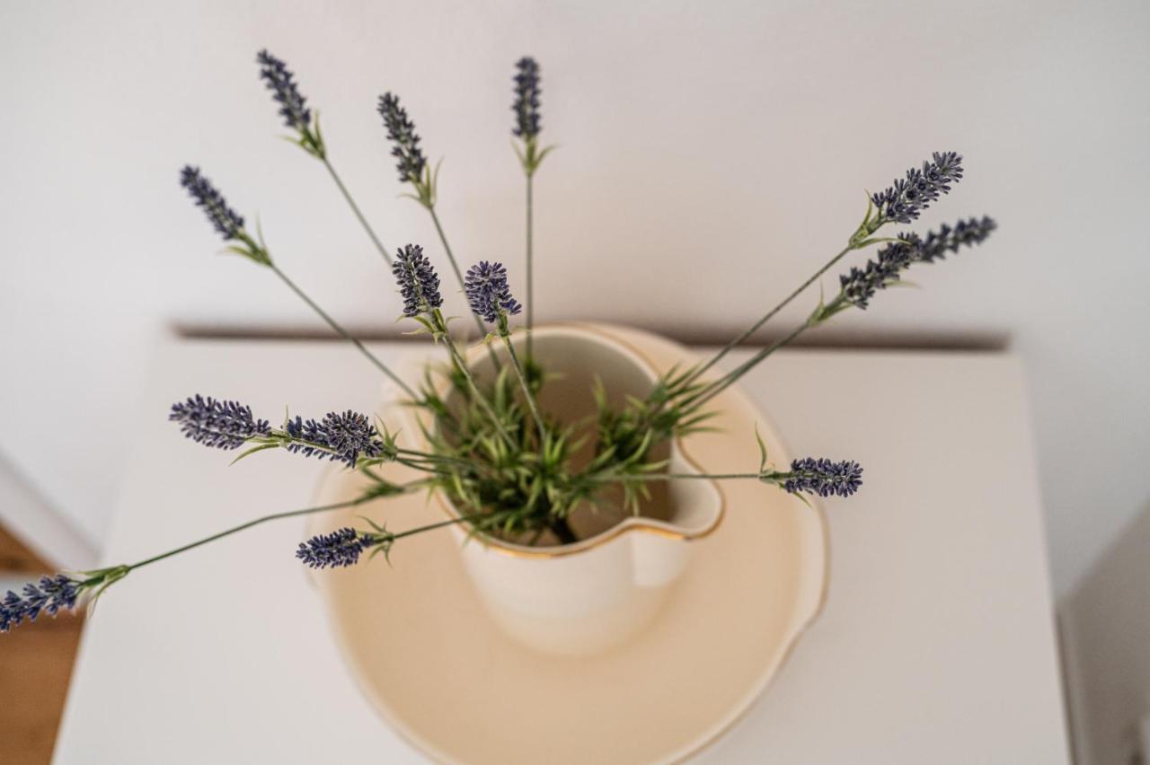 Fewo Im Alten Fachwerkhaus 巴特布考 外观 照片